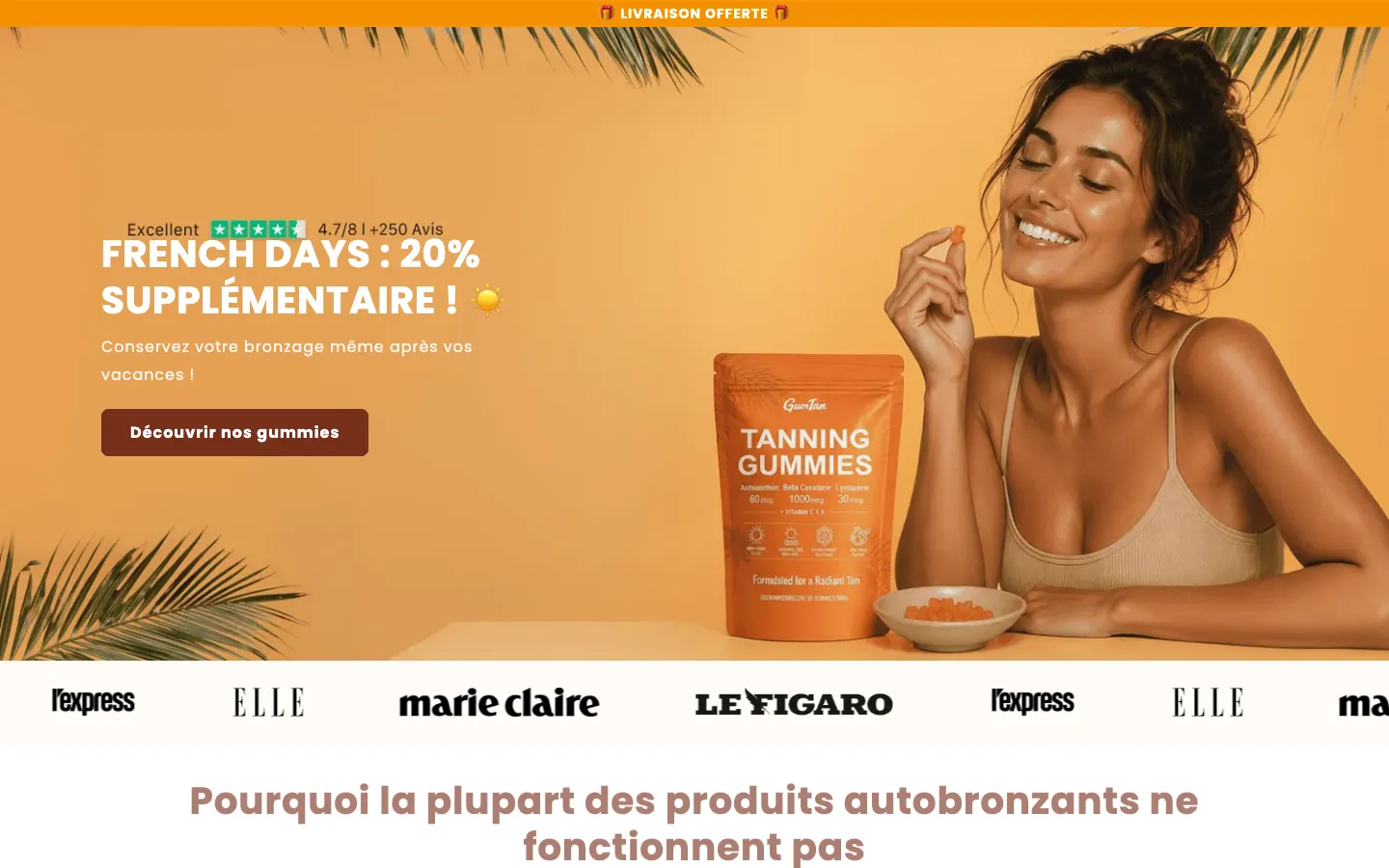 Page d'accueil du site GumTan